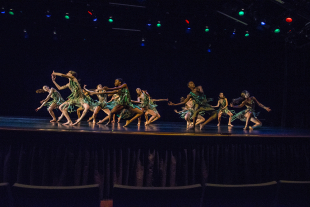 2017scCPAC6312